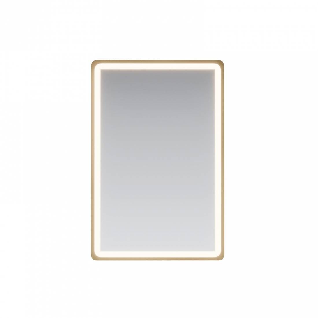 ENE-SM40 -Custom Special Mirror with LED Light for Salons