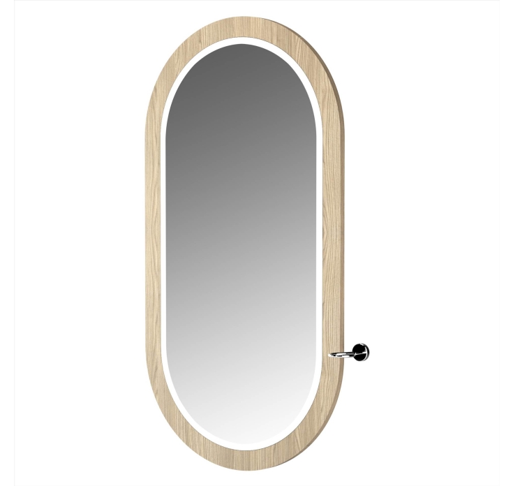 ENE-WMSM058 -Framed Wall-Mounted Salon Mirror with Elegant Desig